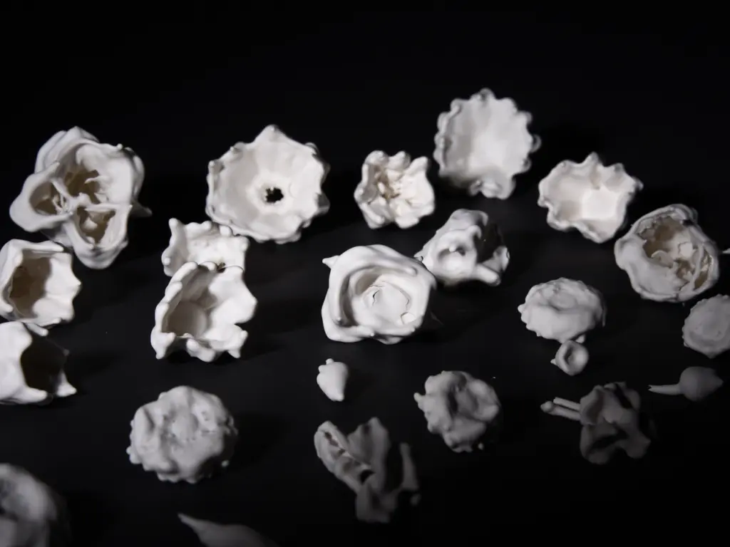 Hannah Ingram - BA(Hons) Fine Art