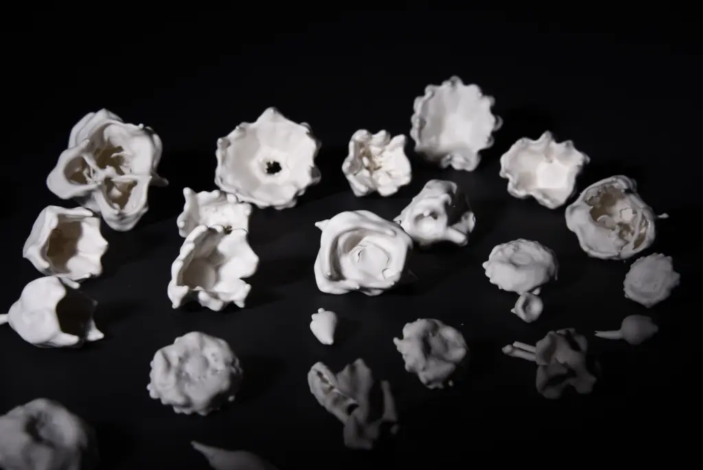 Hannah Ingram - BA(Hons) Fine Art