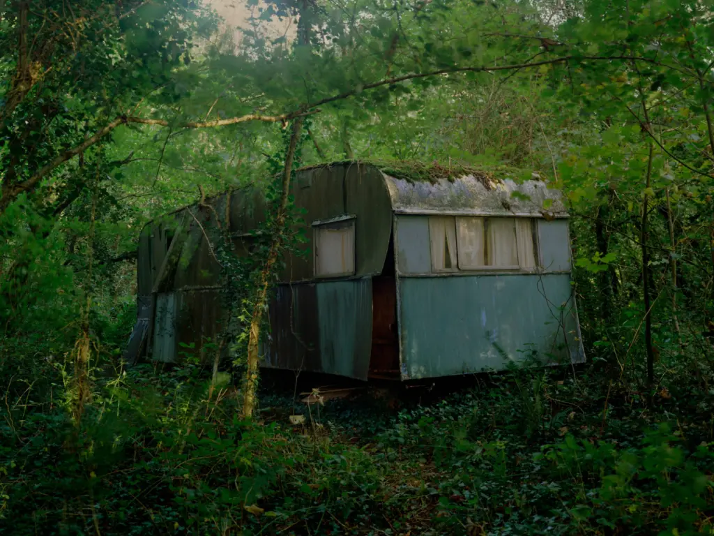 Image by Leah Gordon