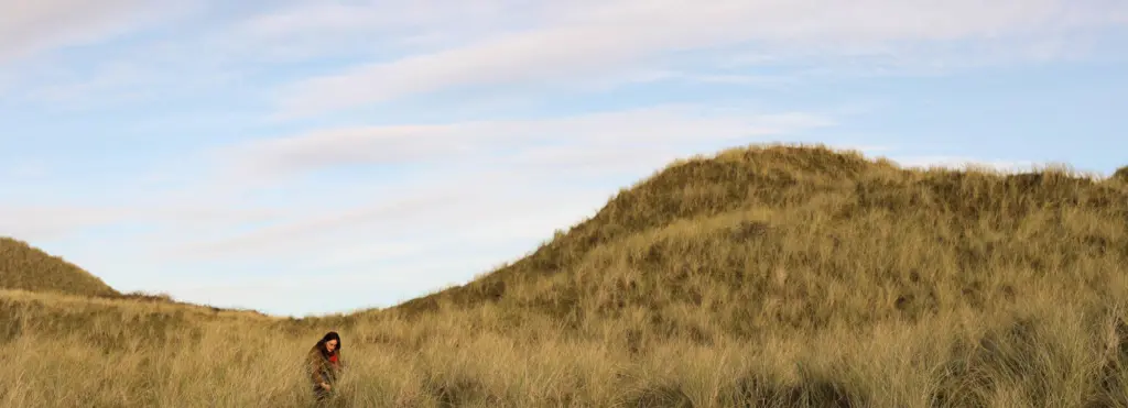 Apphia Ferguson-Ross