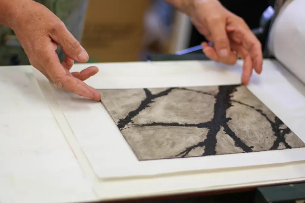 A close up shot of an intaglio style print coming out of the printing press.
